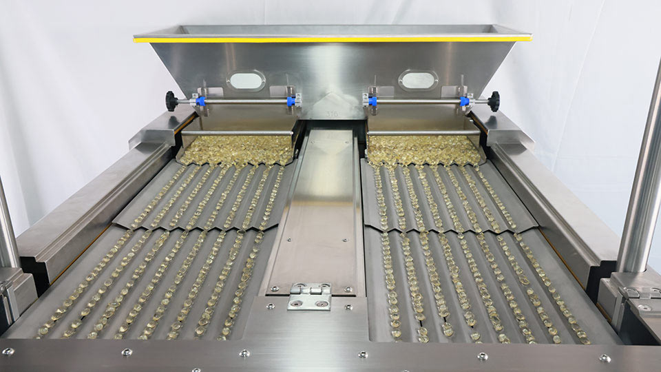 softgel counting in vision counting packing machine